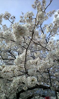 090405_1452~0001.jpg