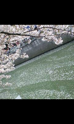 090405_1423~0001-0001.jpg