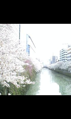 090405_1419~0001-0001.jpg