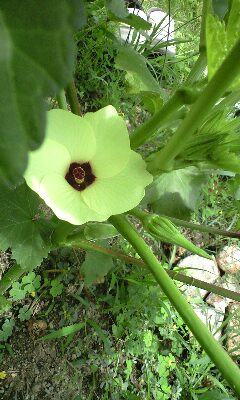 090707_1015~0001.jpg