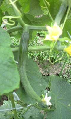 090707_1026~0001.jpg