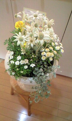 100523_2251~0001.jpg