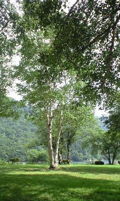 100807_1435~0001.jpg