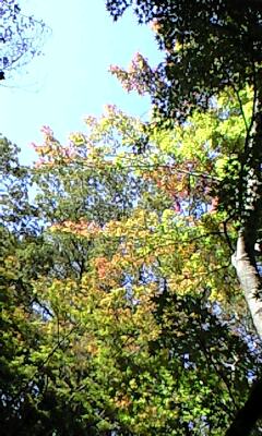 101103_1321~0001.jpg