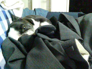 20070506_318451.jpg