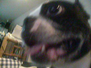 20070510_320453.jpg