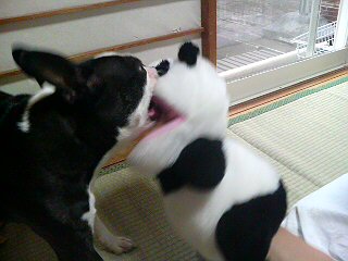 20070510_320481.jpg