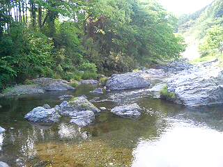 20070515_322864.jpg