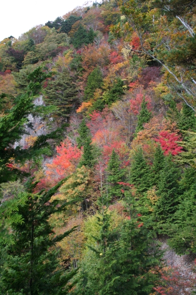 紅葉の鬼面山(信州100名山)登山