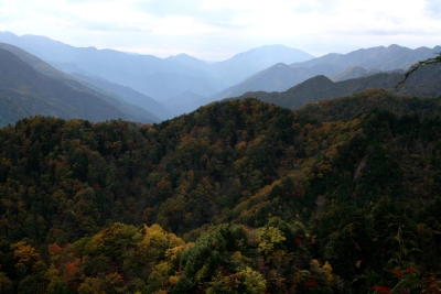 紅葉の鬼面山(信州100名山)登山