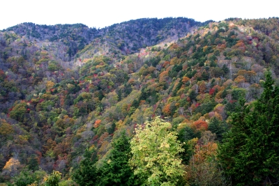 紅葉の鬼面山(信州100名山)登山