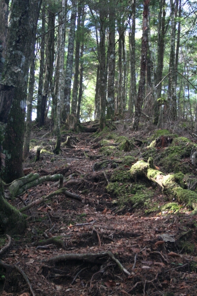 紅葉の鬼面山(信州100名山)登山