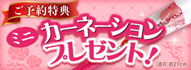 成城石井 カーネーションプレゼント