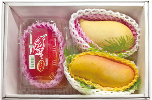 マンゴー食べ比べセット