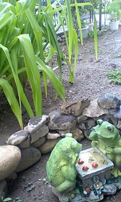 090710_0837~0001.jpg