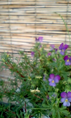 090719_1814~0001.jpg