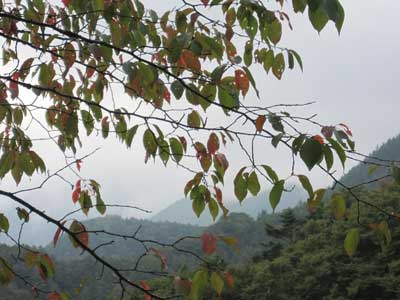 御坂峠