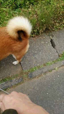 側溝