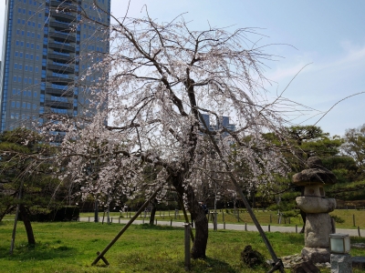 P1000382-2.jpg