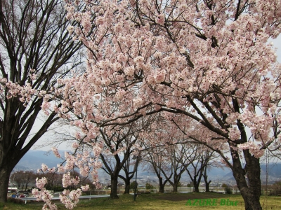IMG_0946ロゴ.jpg