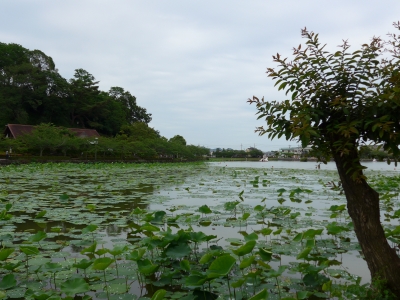 P1020274.JPG