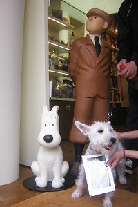 スノーウィそっくりさん達 Tintin Blog タンタン ブログ