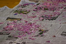 超低温の世界サイエンスショー
