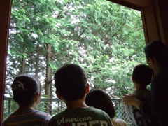 火おこしを体験しよう