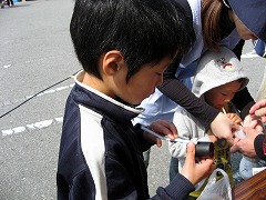 かざこし子どもの森公園