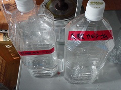 プルプル水だんごを作ろう