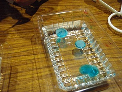 プルプル水だんごを作ろう