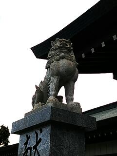 20141223_205603.jpg