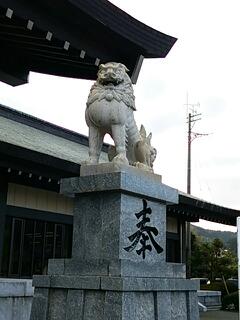 20141223_205547.jpg