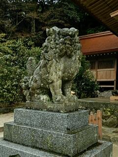 20150312_132826.jpg