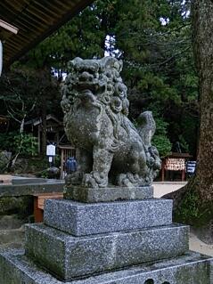20150312_132816.jpg