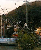 090127_1632~01.JPG
