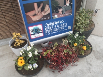 玄関花1