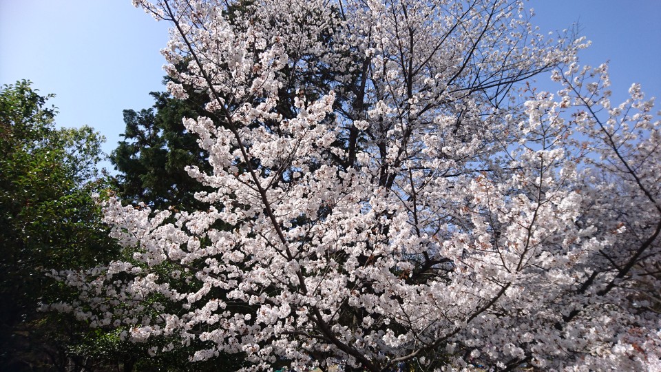 DSC_2356.JPG