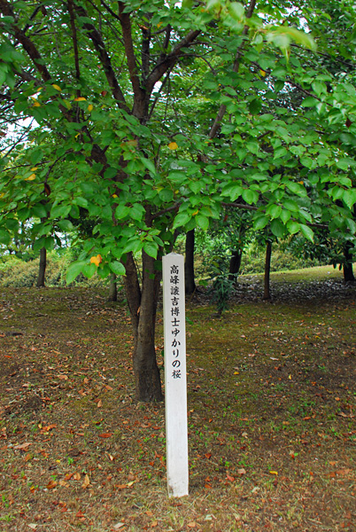 1609ijin048.jpg