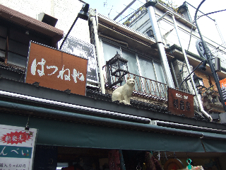 DSCF3397.jpg