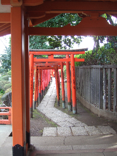 DSCF3407.jpg