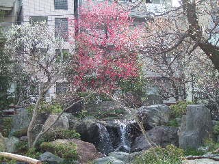 DSCF3419.jpg