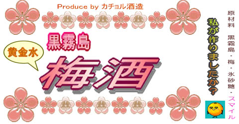 ¥í¥´