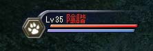 レベル35・・・