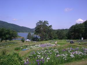 20060705_51836.jpg