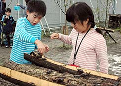 20060812_84090.jpg