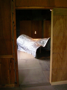 20061011_127114.jpg
