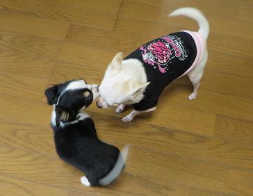 はじめまして あなただ〜れ?.jpg