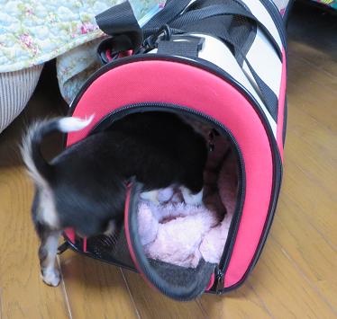 失礼しま〜す.jpg