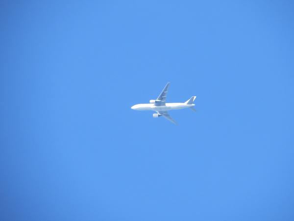 飛行機が.jpg